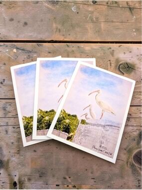 12 Watercolor Notecards Ibises 4.25" x 5.5"